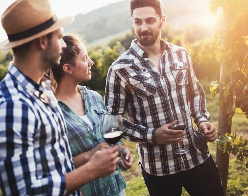 wine tours okanagan wine tours okanagan